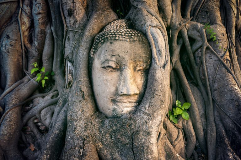 A image of an ancient sculpted face encircled by the roots of a Banyan Tree